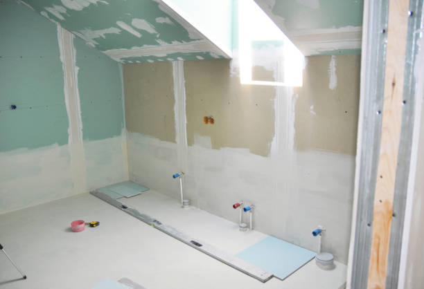 Best Black Mold Removal  in Liberty, IN