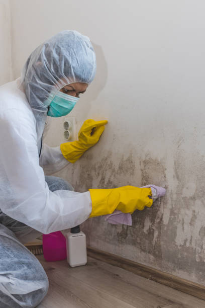 Environmental Consulting for Mold Prevention in Liberty, IN