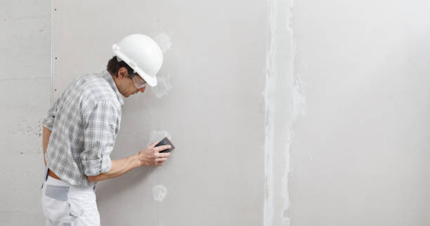 Best Attic Mold Removal  in Liberty, IN