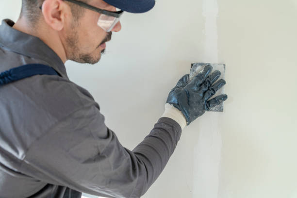 Best Crawl Space Mold Remediation  in Liberty, IN