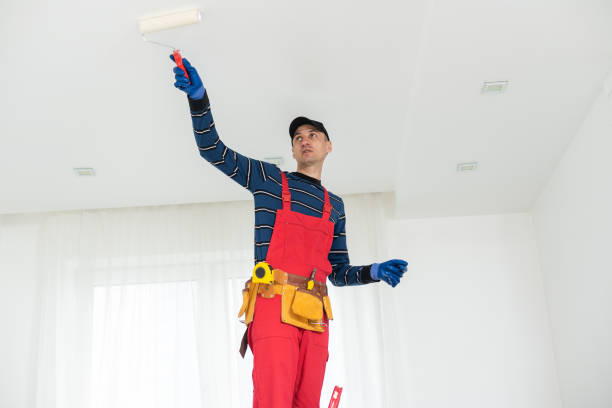 Liberty, IN Mold Removal Company
