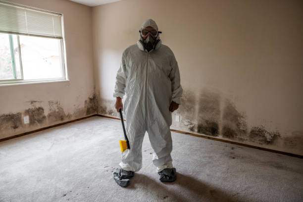 Best Asbestos and Lead Testing During Mold Inspection  in Liberty, IN