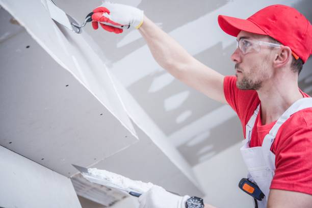 Best Mold Damage Restoration  in Liberty, IN